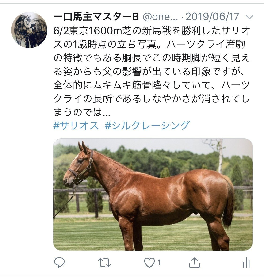 2歳牡馬チャンピオン サリオスの異質さに学ぶこと 一口馬主マスターb Note