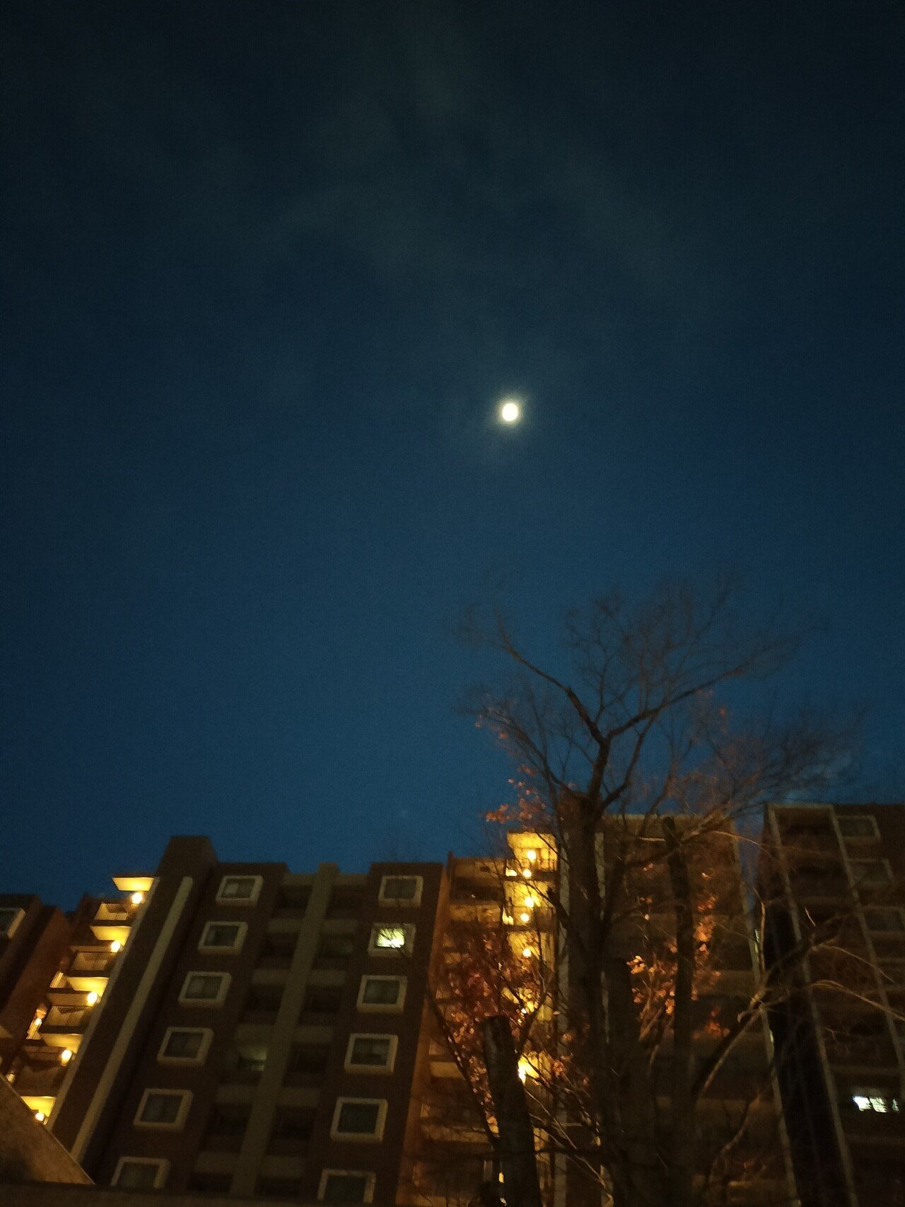 上弦の月」の人気タグ記事一覧｜note ――つくる、つながる、と