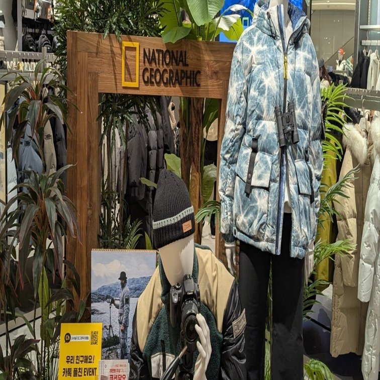 韓国ダウン】ナショナル・ジオグラフィックに服があるだと！？｜poco🐶