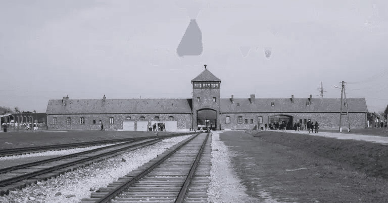 世界の歴史 7 戦争と平和 絶版 世界の歴史 7 戦争と平和 絶版