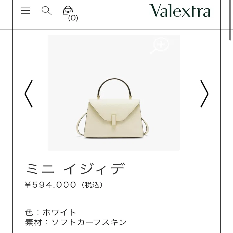 初めてのハイブラバッグ購入記｜monica🪸