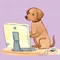 KOSHIRAE🌱とらわれない働き方をweb制作で実現する