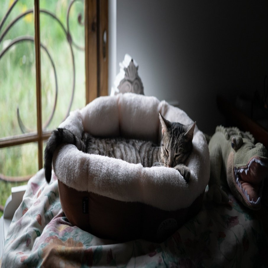 写真家」って、何なんだ？｜Taisuke Yoshida