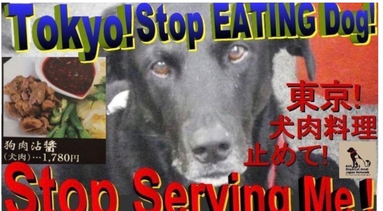 東京 犬肉料理を止めて Tokyo Exclude Dog Meat 濡れてるノート紹介abef年賀状ってそろそろ 宮咲アンナ Note 東京 犬肉料理を止めて Tokyo Exclude Dog Meat 濡れてるノート紹介abef年賀状ってそろそろ 宮咲アンナ Note