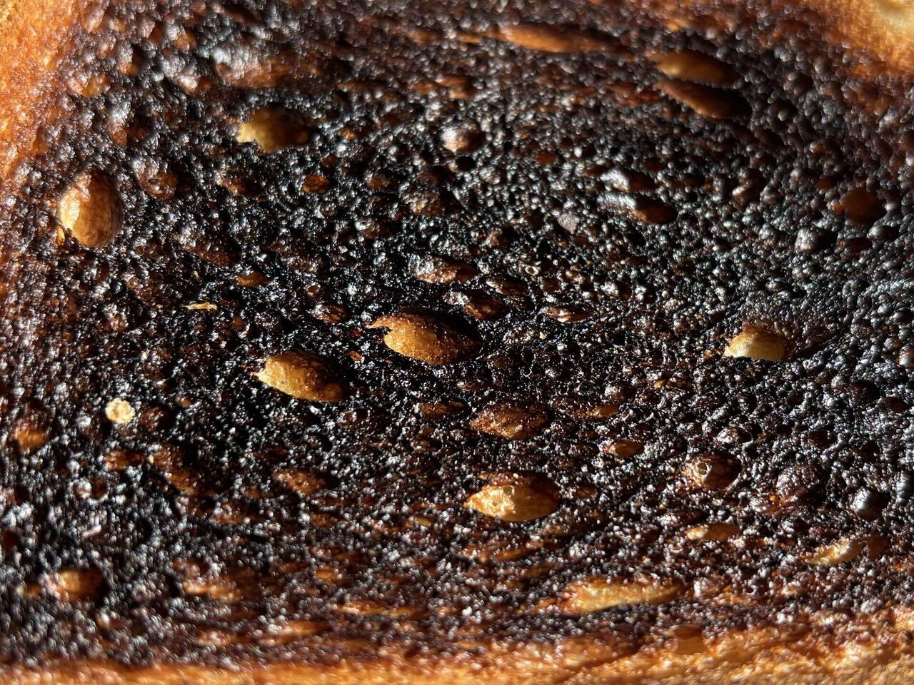 焦げた食パンページ 焦げた食パンの写真素材｜写真素材なら「写真AC」無料（フリー