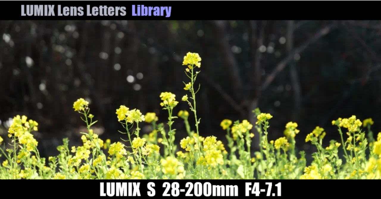 LUMIX S 28-200mm F4-7.1 MACRO O.I.S. 【Library】｜LUMIX Lens Letters