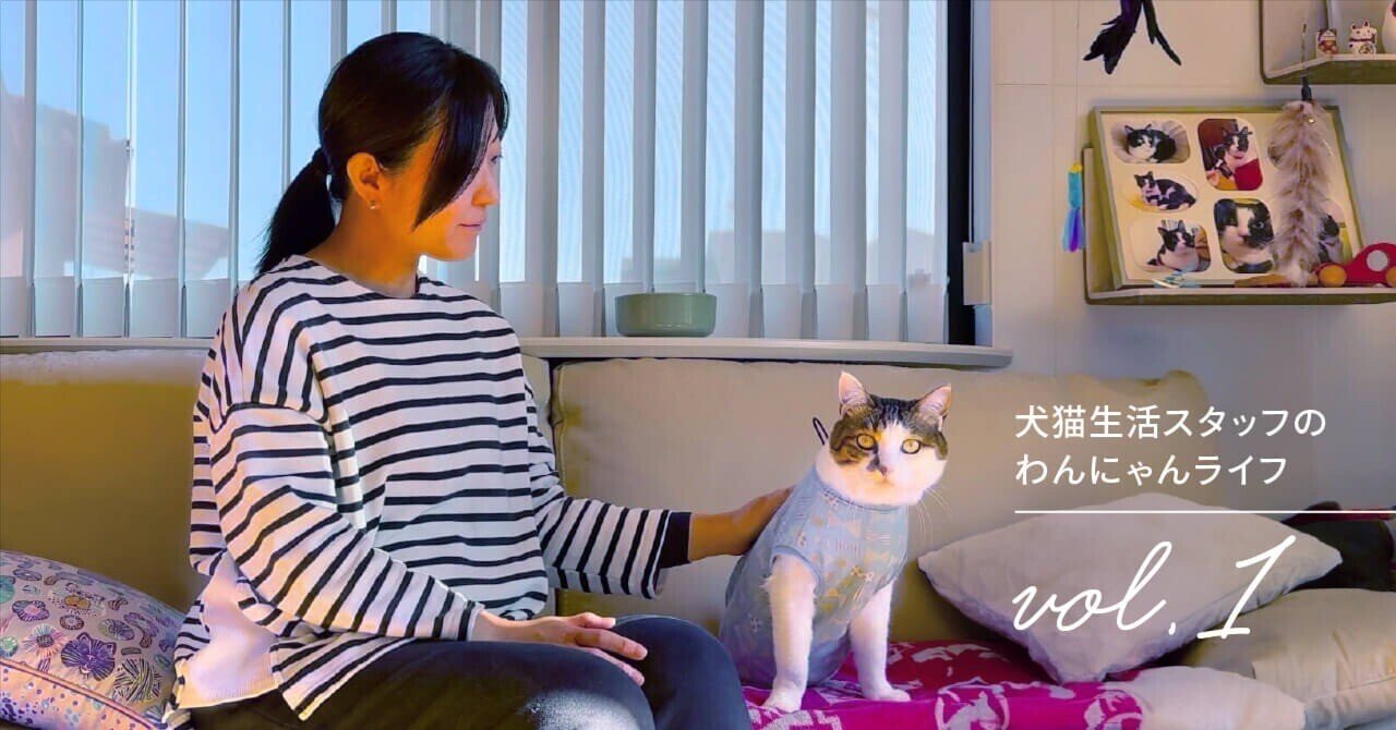 保護猫との運命的な出会いに導かれた「今」。人気インフルエンサーが犬