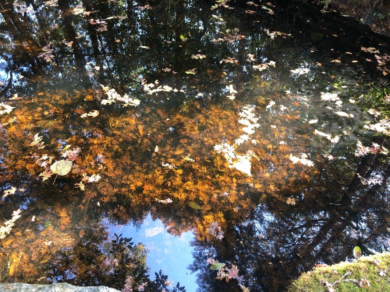 徳地 富海の旅 村谷由香里 Note 徳地 富海の旅 村谷由香里 Note