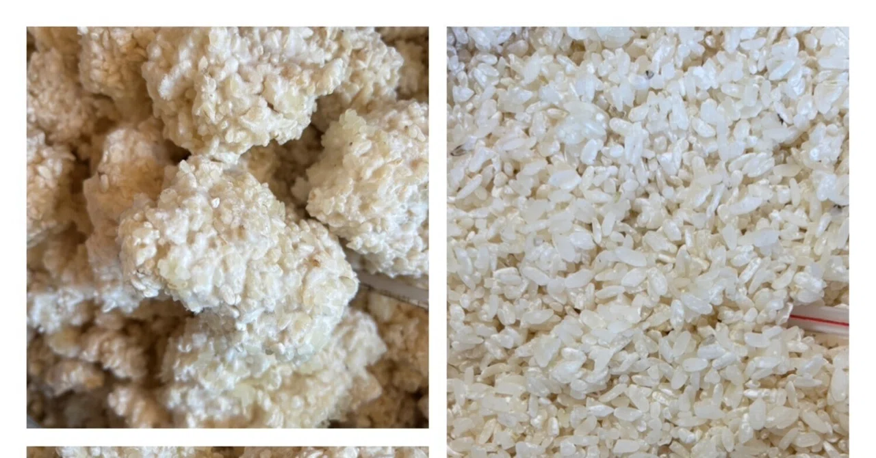 Making Rice Koji Blossoms Over the Years｜Frau Schnitt