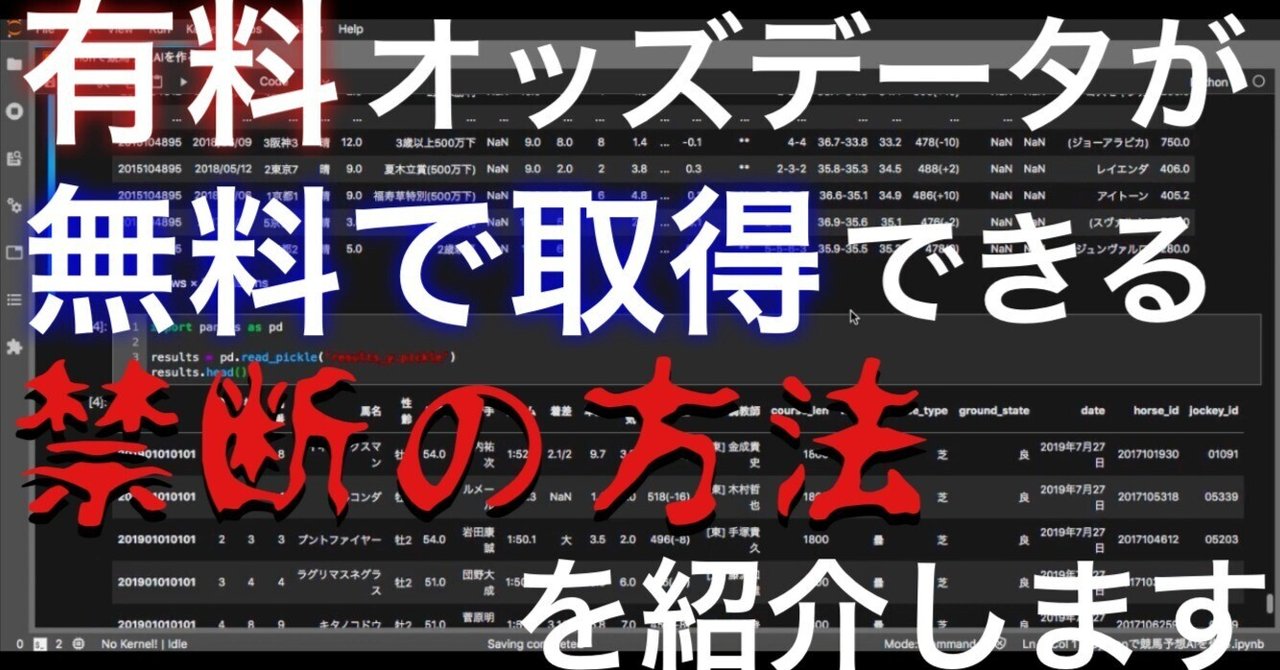 オータムセール2024(Autumn Sale)】～総合結果概要(最高額馬写真