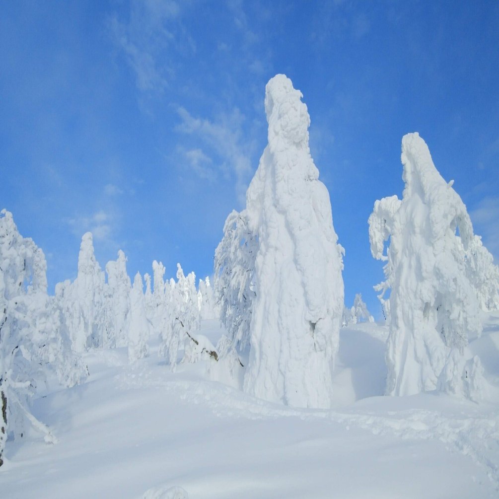秋田】森吉山の絶景に会った日｜みちのくを旅する「みちたび」