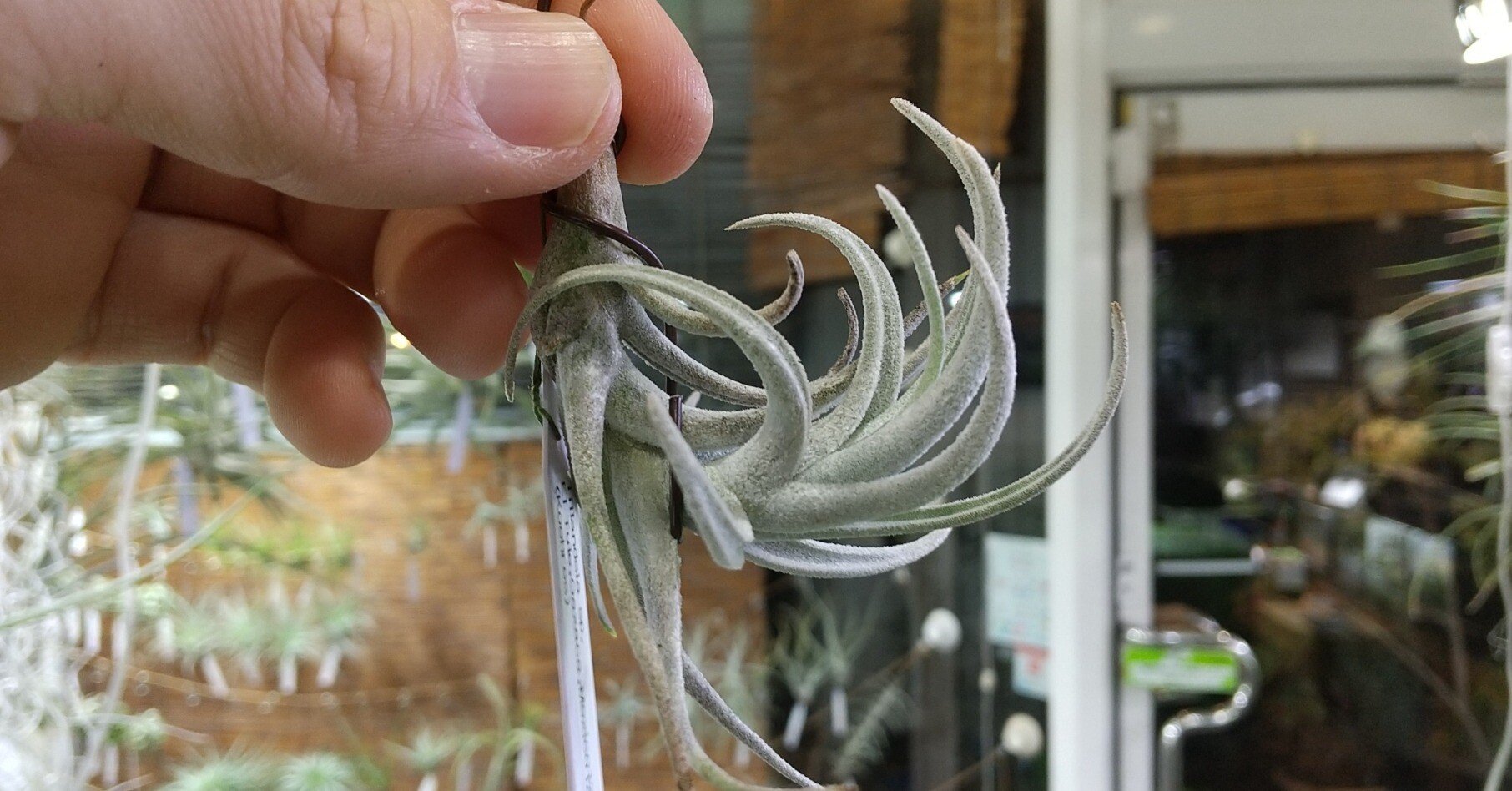 c4d10fb64d852f92934210d98c1177