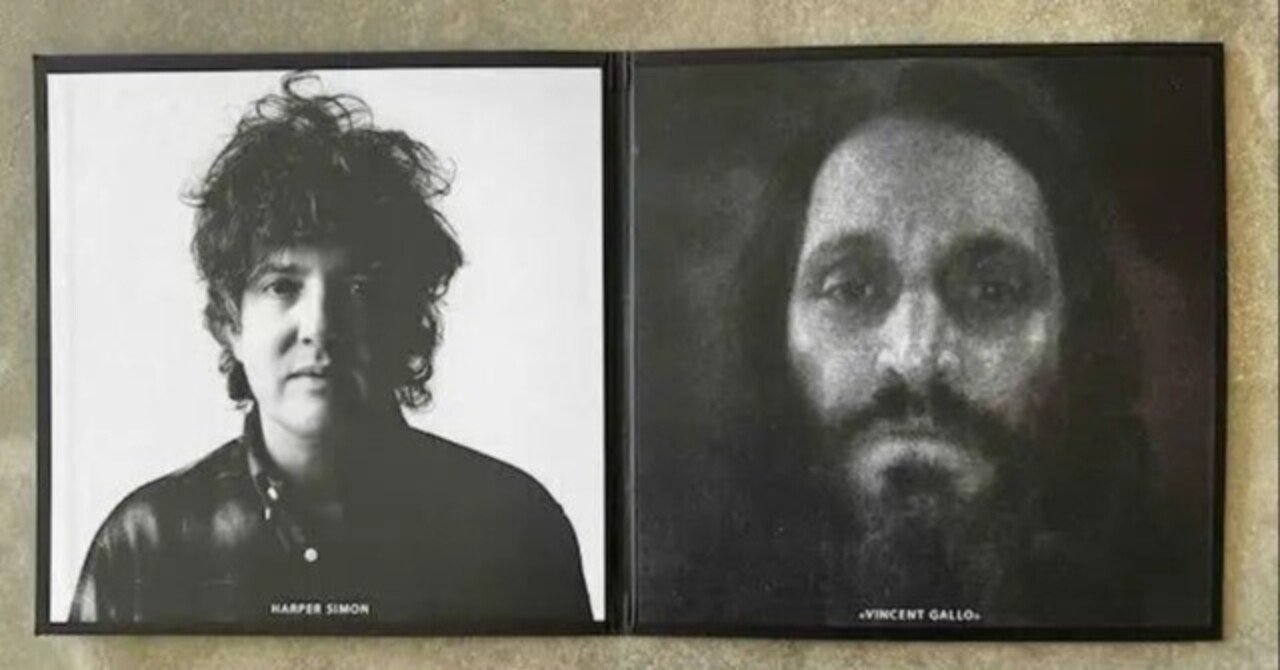 Vincent Gallo / So Sad LPレコード ヴィンセント・ギャロ