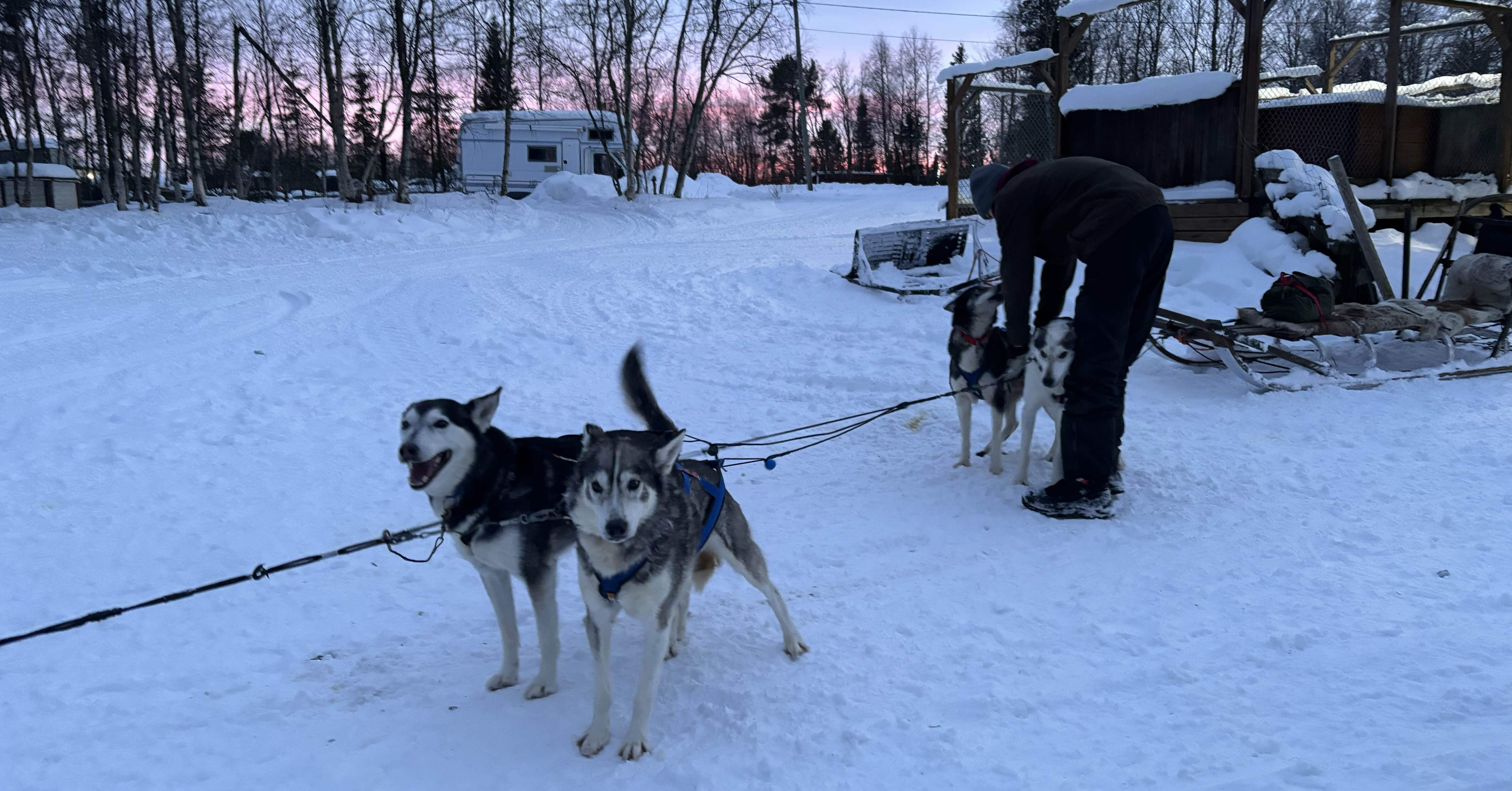 d457dc57611eb1cd27ad9dc09ce0f8