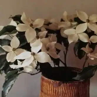 kukka