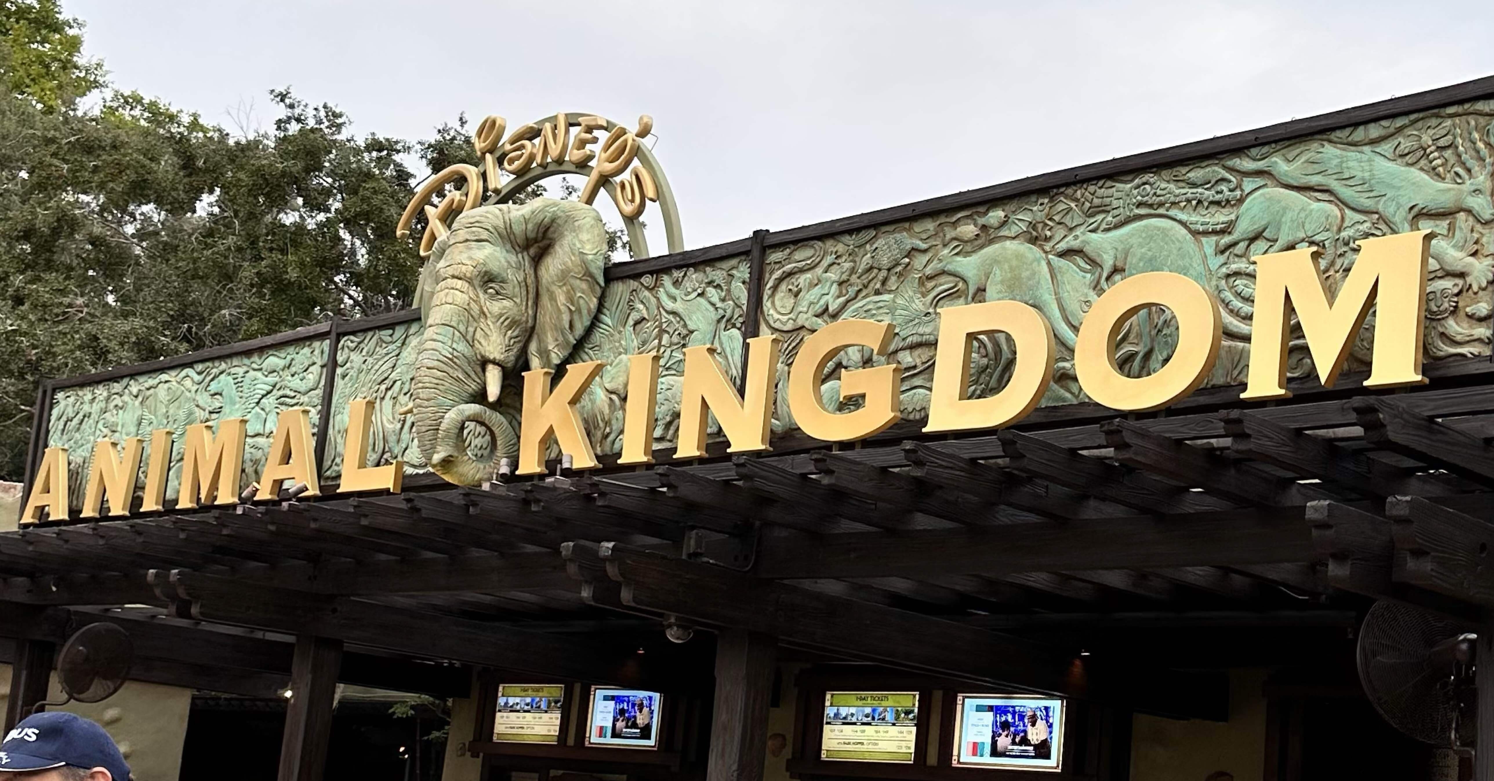 子連れフロリダディズニー✨🏰🐭 Part.2 🦁アニマルキングダム！4