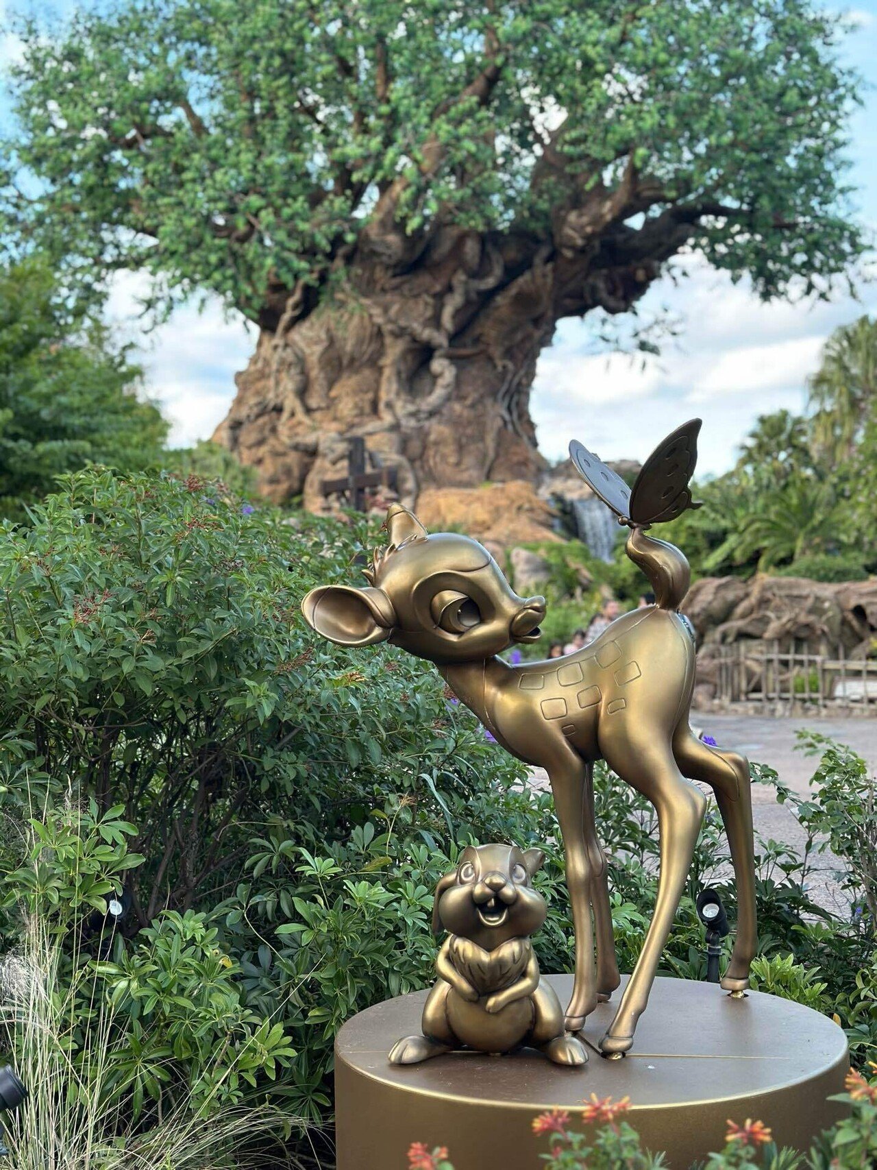 【WEB限定】 子連れフロリダディズニー✨🏰🐭 🦁アニマルキングダム Part.2 その他