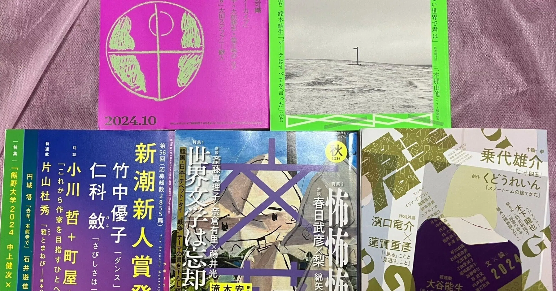 芥川賞候補作ぜんぶ読みました（24年下）｜にゃんしー