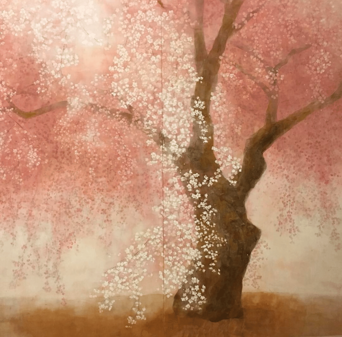 日本画 岩絵具 62個 まとめ売り 【公式通販】