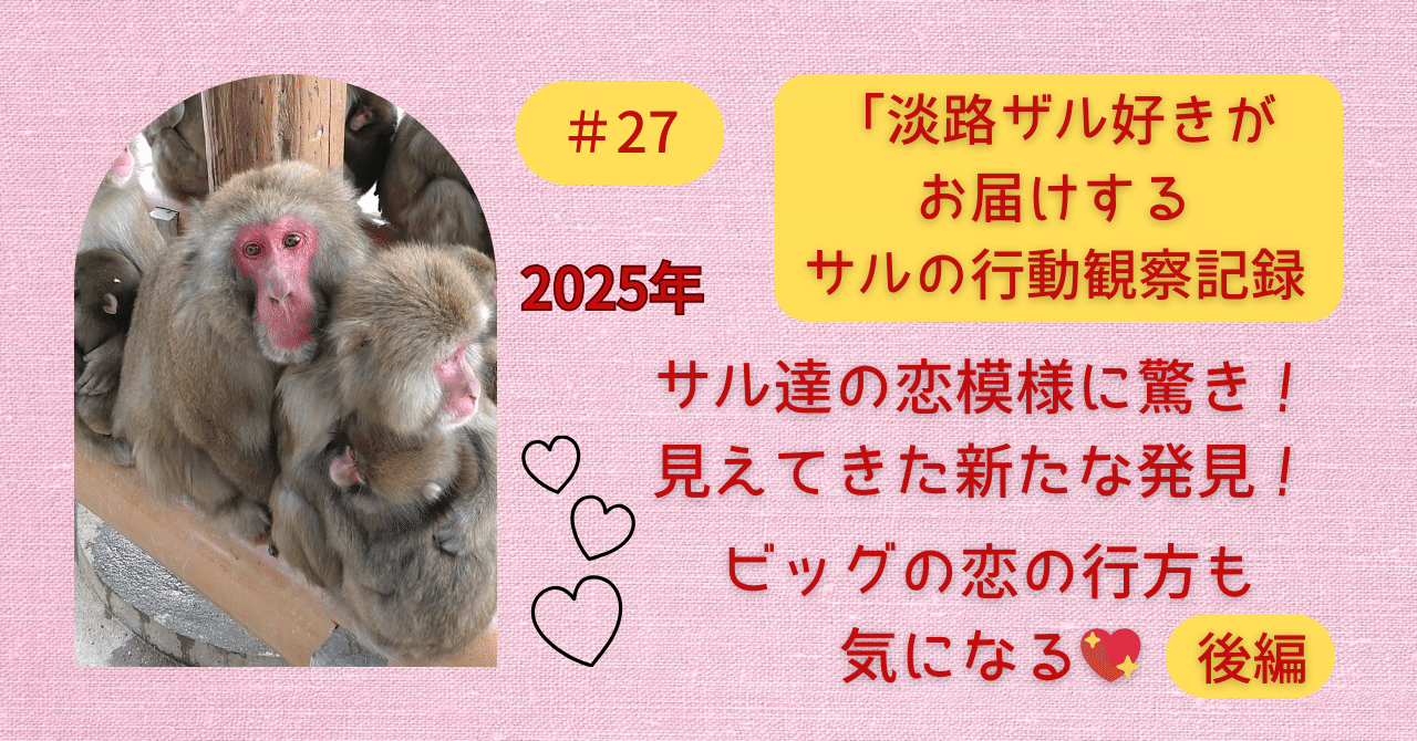 後編】サル達の恋模様に驚き！2025年✨見えてきた新たな発見！ビッグの