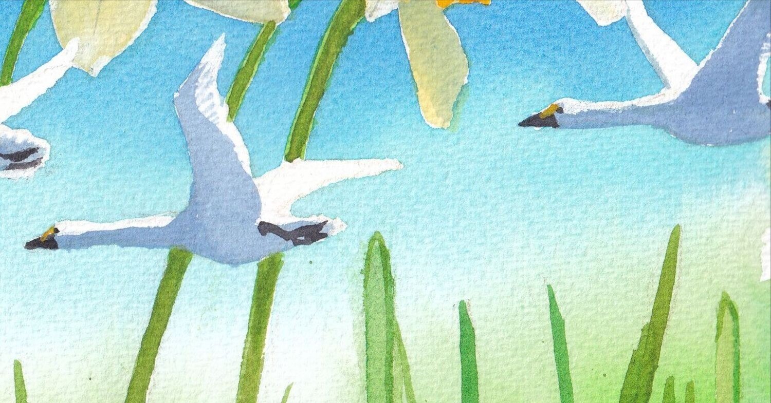 水彩画 鳥＋花｜ちろ