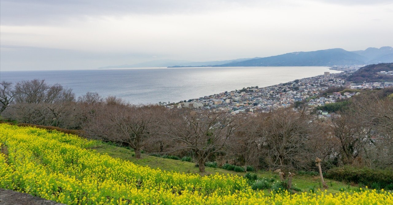 【神奈川】菜の花と海のパノラマ！～吾妻山公園～