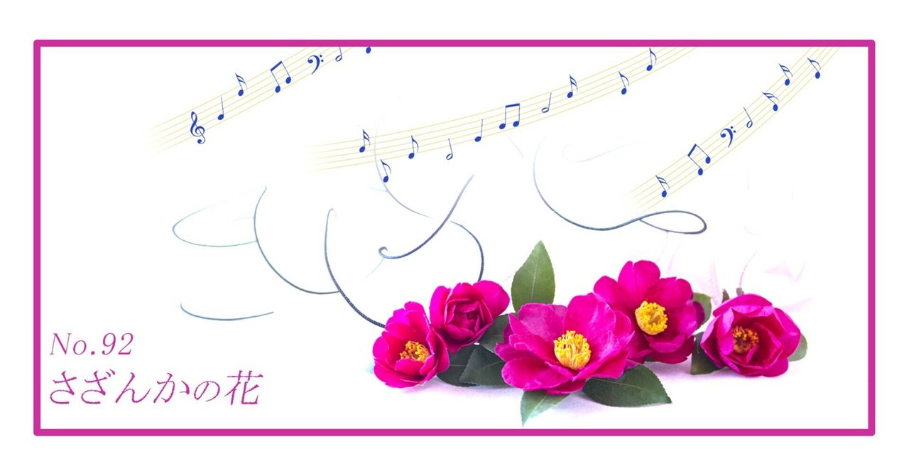 みんなのフォトギャラリー さざんかの花 No.92｜ribbon(リボン) 