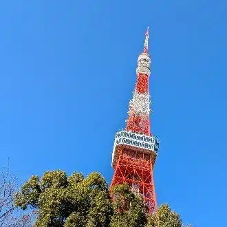 整体鍼灸ritaのつぶやき