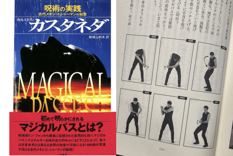 力の話　カルロス・カスタネダ 51lTK6VXOuL._UF350,350_QL50_.jpg