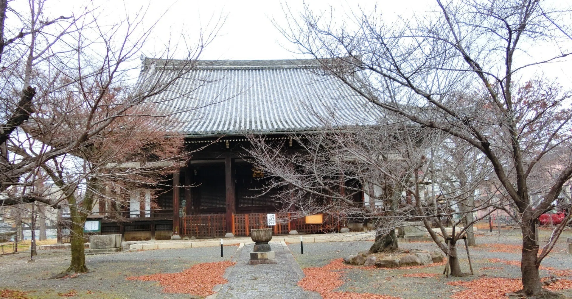北野の鬼子母神「立本寺」染井吉野・枝垂桜など約40本【京都市上京区