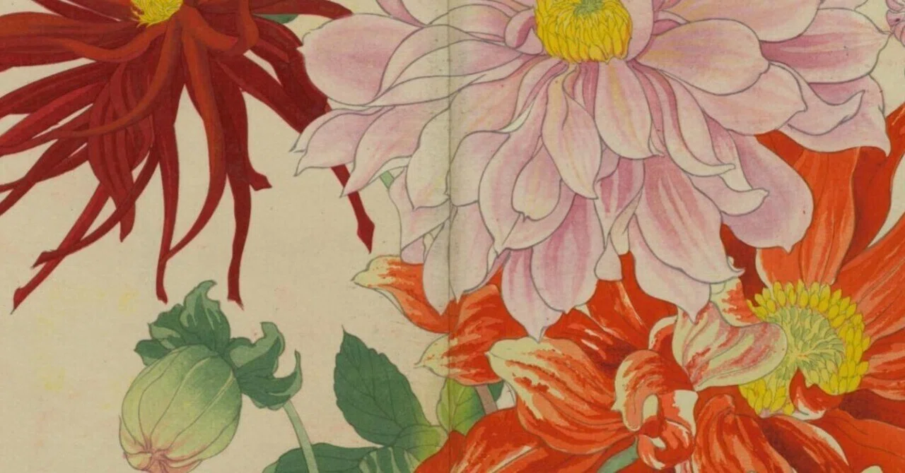 西洋草花図譜 春之部 貮｜日本花卉文化株式会社
