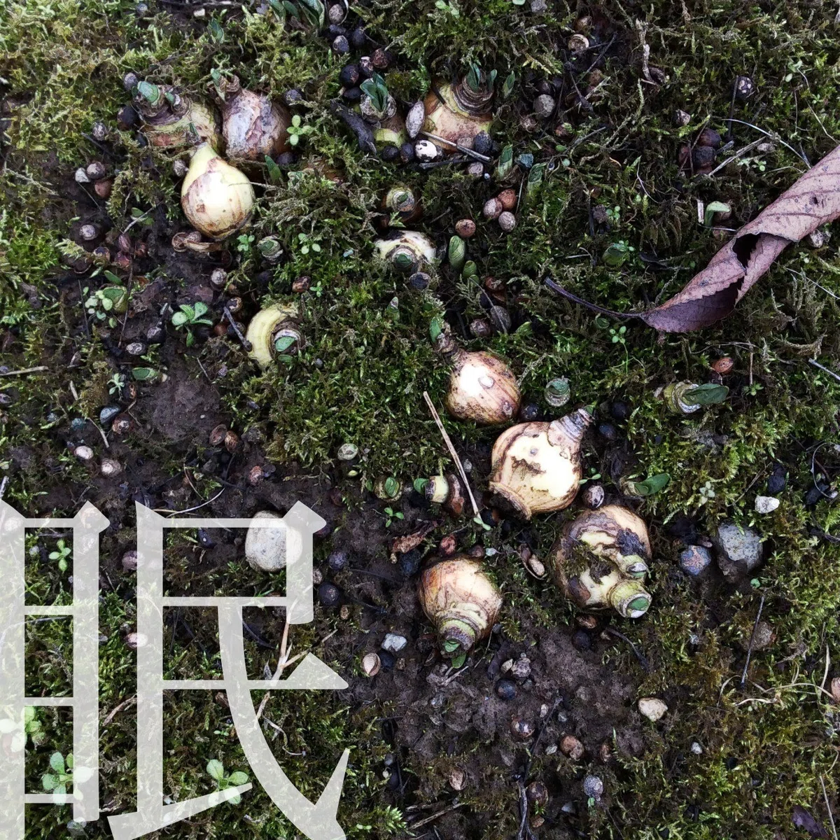 画像7