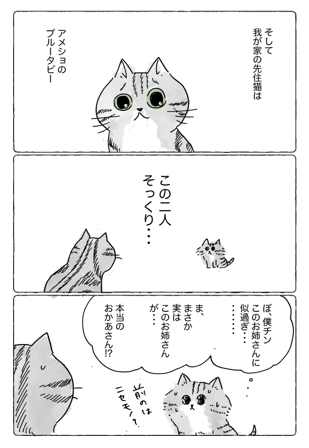 コミック96_出力_002