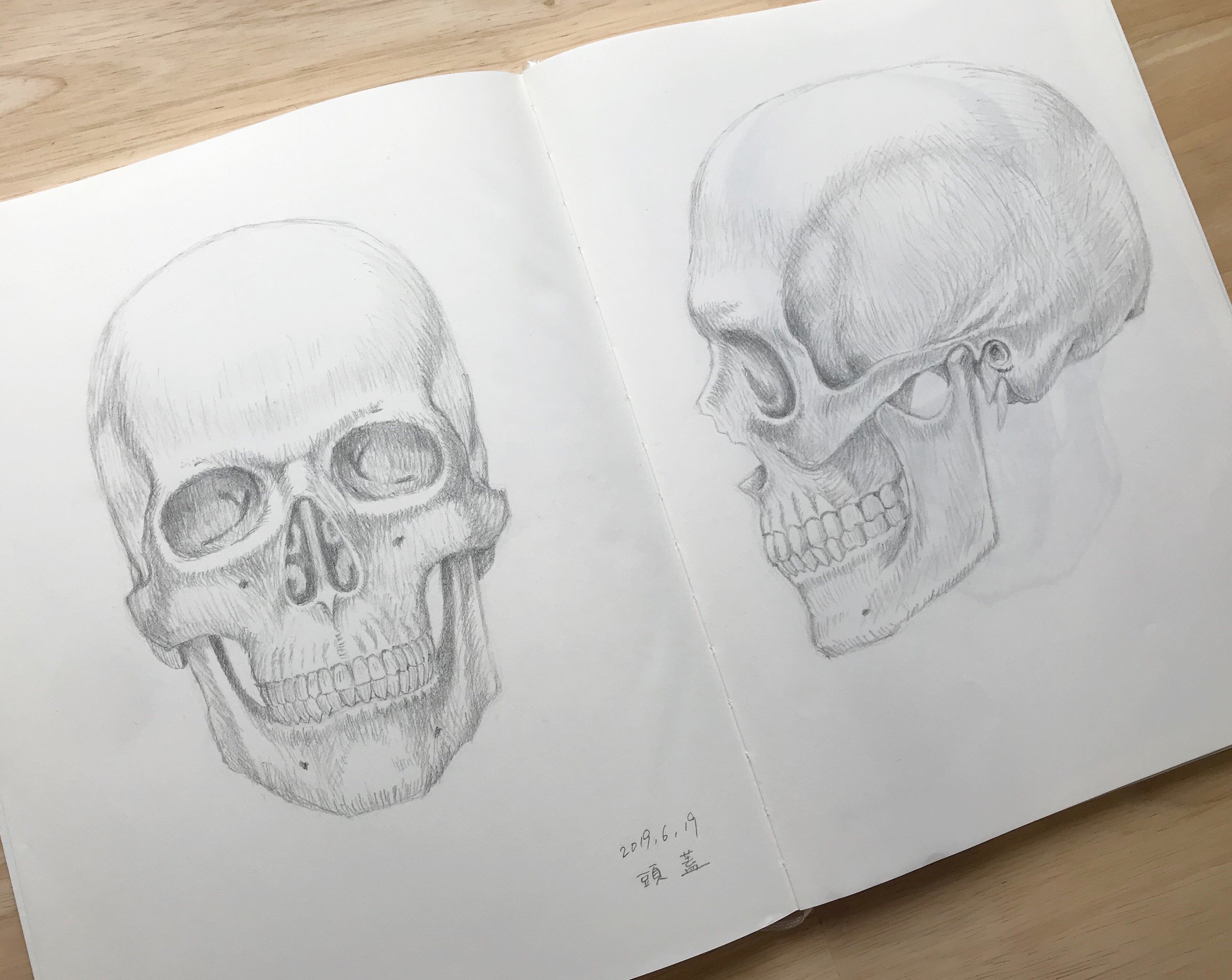 お絵描き修行1年目 美術解剖学に出会う さち Note お絵描き修行1年目 美術解剖学に出会う さち Note