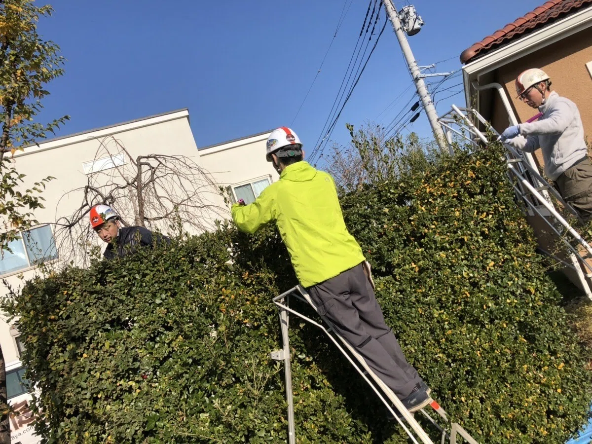 画像5