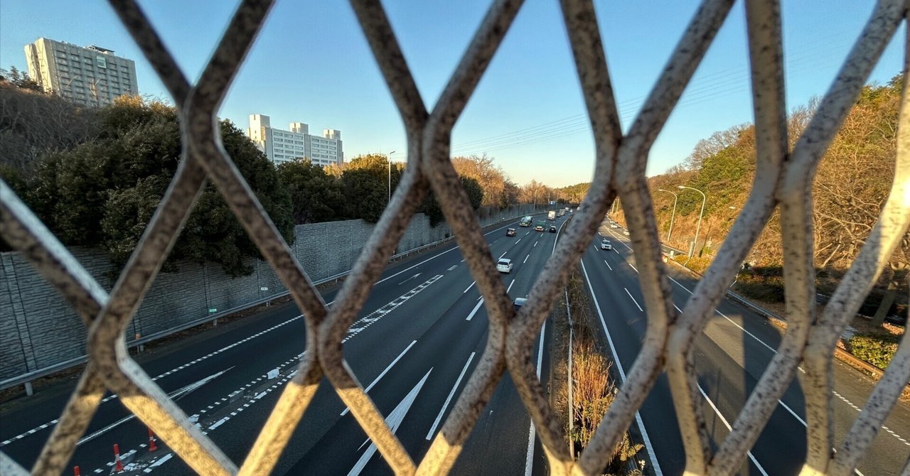 実践・散歩 2025年1月9日 岩川を遡る。246から国道16号線へ。カワセミ