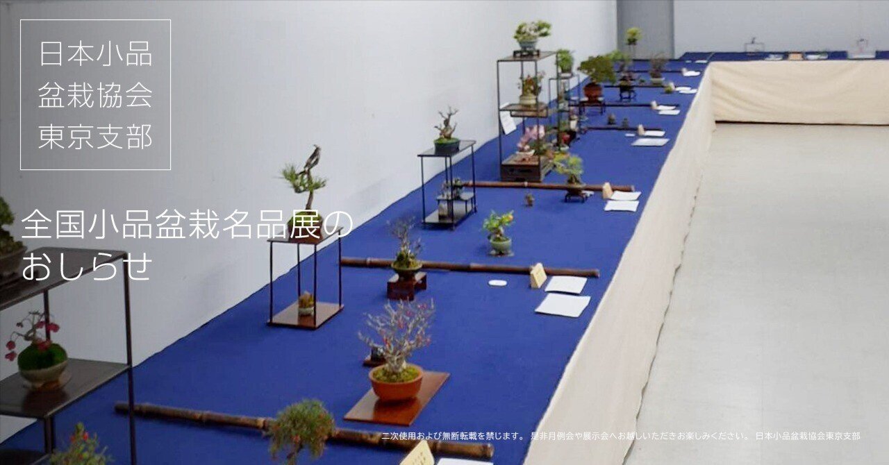 第51回 全国⼩品盆栽名品展のおしらせ＜開催終了しました