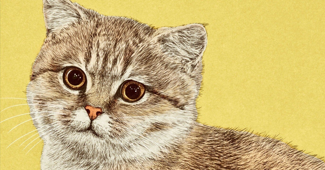 ちょっとすましている猫を描きました｜こひろ｜ペン画