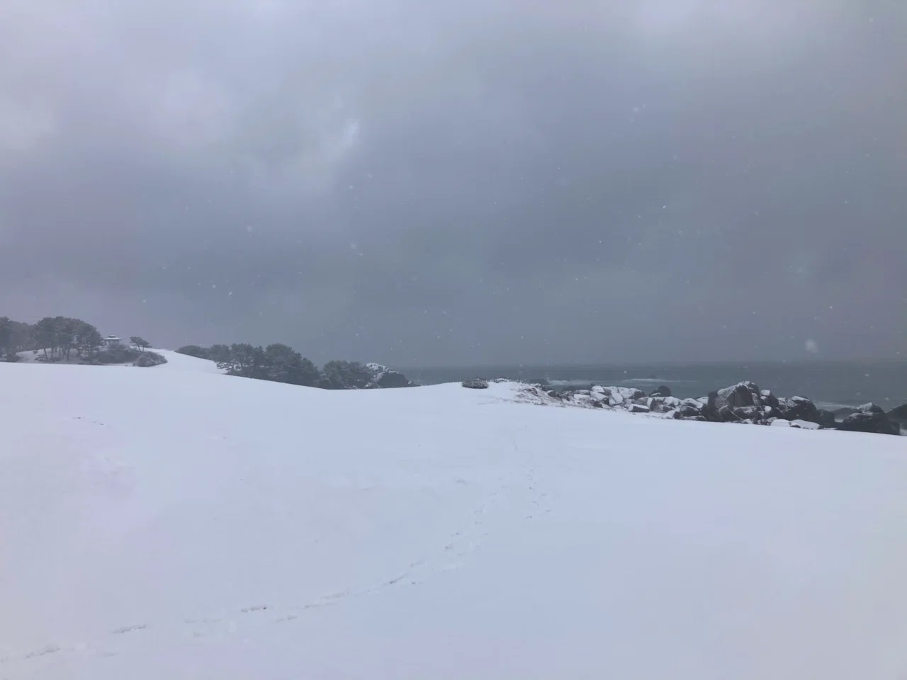 大雪の東北旅】2025年 青森•秋田の旅｜Z A5