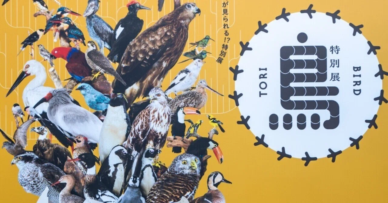 NIKON「Z50II」で行く『特別展 鳥』鳥認識テスト三昧 国立科学博物館