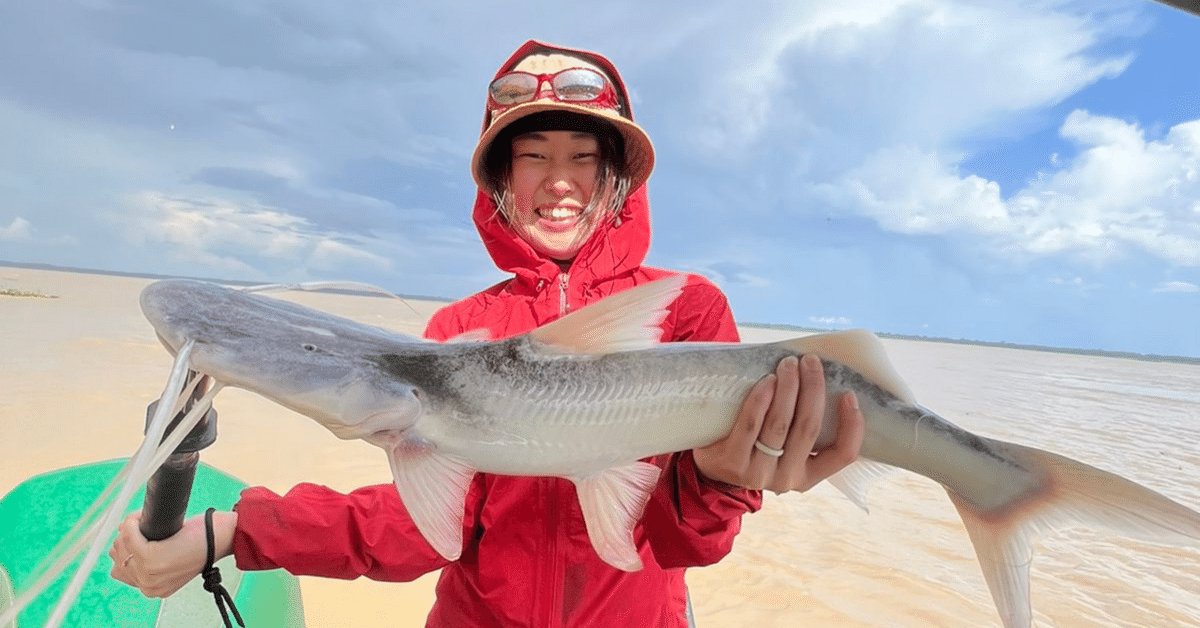 ブラジルナマズ剥製 ブラジルナマズ剥製 ブラジルナマズ剥製 【公式通販】