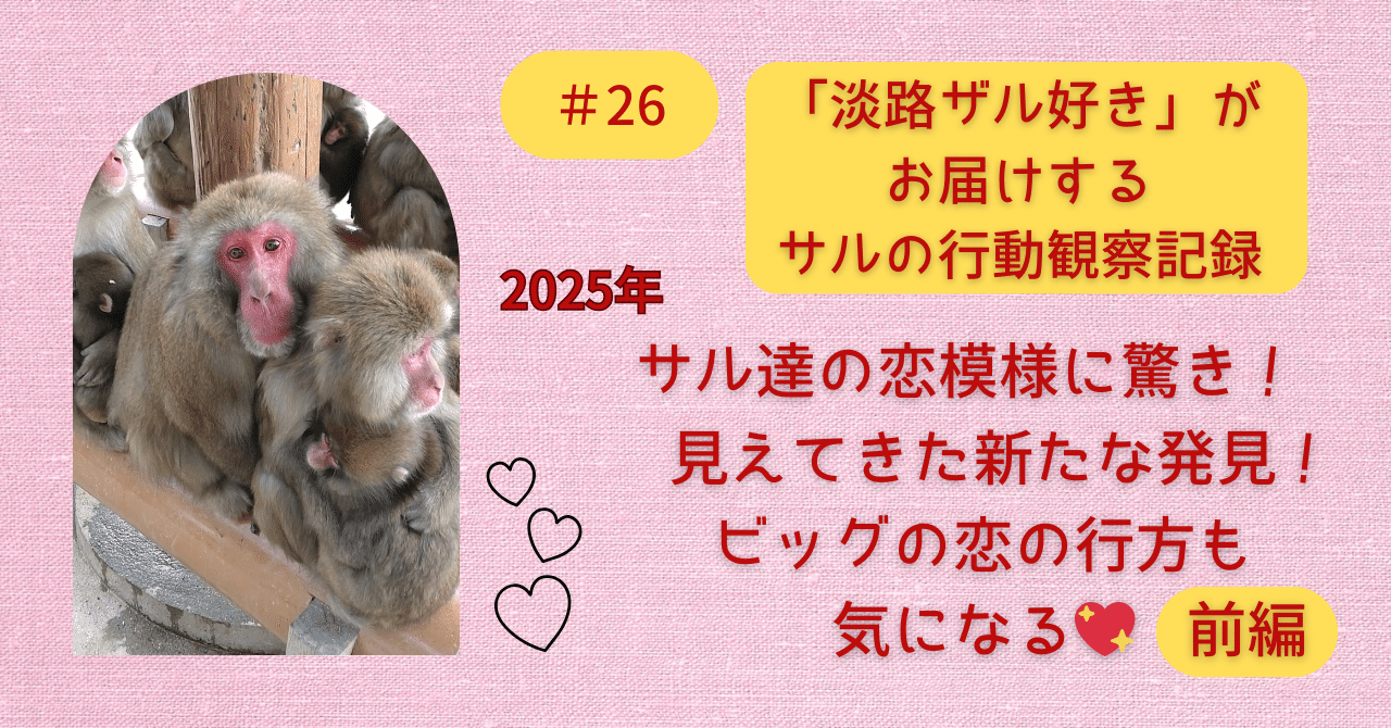 前編】サル達の恋模様に驚き！2025年✨見えてきた新たな発見！ビッグの