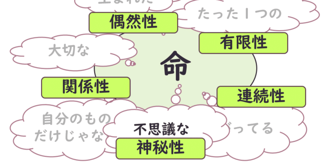 222_生命の尊さの授業づくりー教育出版5年「希」ー｜せっちー