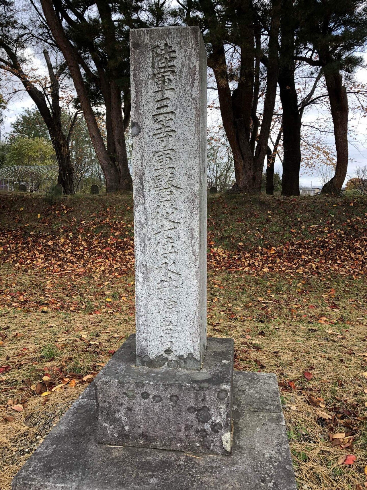 八甲田山雪中行軍の軍医は、隊長に訓練中止を勧告したが、聞き入れられ