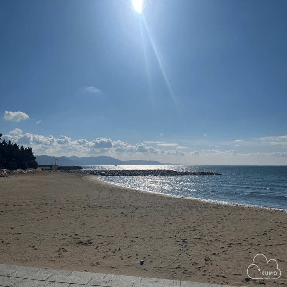 1/11 貝殻沢山ビーチコーミング@林崎松江海岸｜くもさん