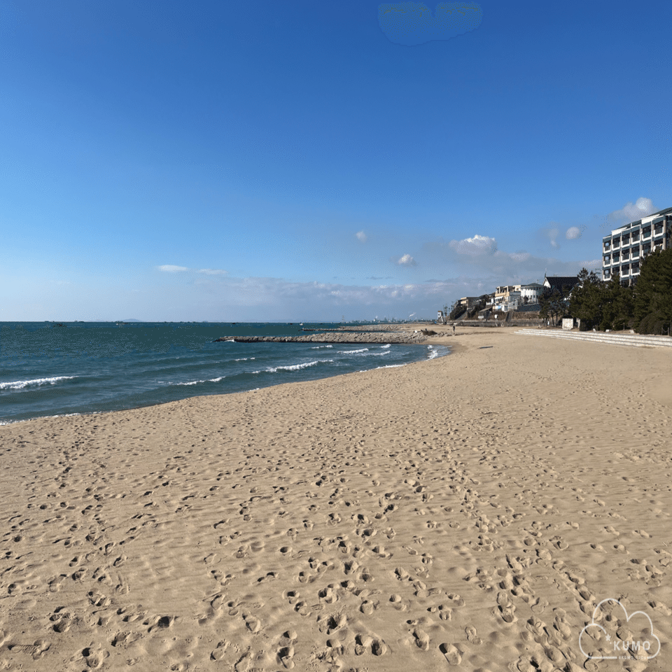 1/11 貝殻沢山ビーチコーミング@林崎松江海岸｜くもさん