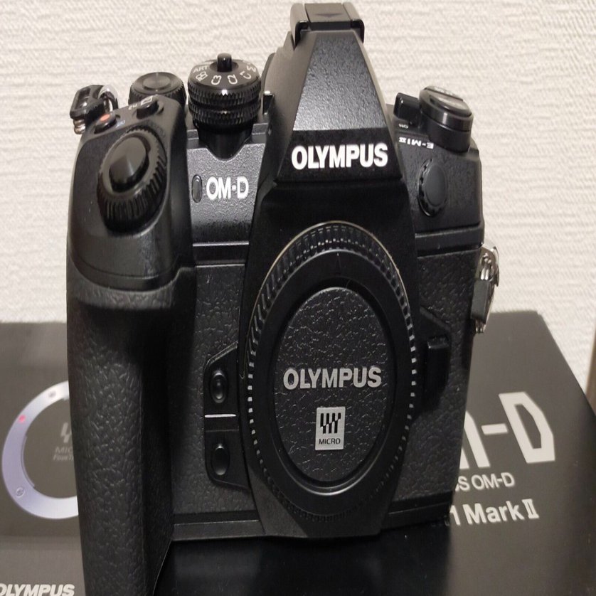 2025年OM SYSTEMへの期待｜もみじ卍ゅう/写真愛好家