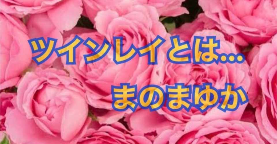 ツインレイとは Sapporo Mankame Note