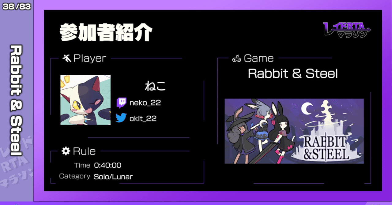 レイドRTAマラソン 2025に『Rabbit and Steel』で参加しましたの