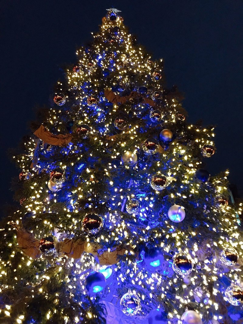 可愛い韓国系カナディアンの彼女とのクリスマス 日本とカナダのクリスマスの違い メープルたける Note